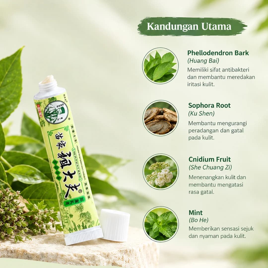 Kandungan utama Salep Gatal Zudaifu: Phellodendron Bark, Sophora Root, Cnidium Fruit, dan Mint