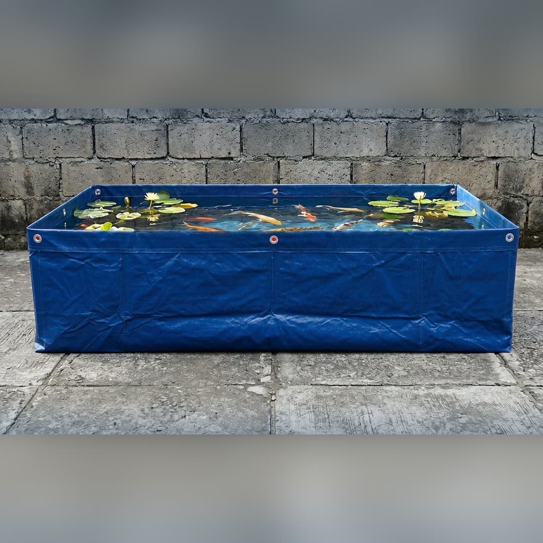 Kolam terpal kotak siap pakai berisi ikan